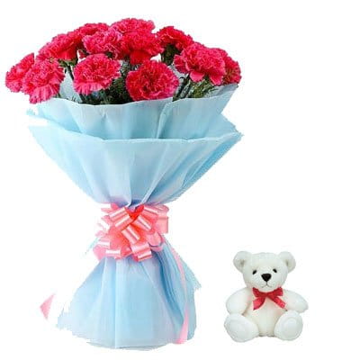 Carnation and Soft Toy