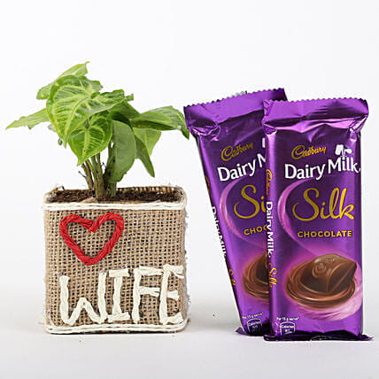 Lucky Wife