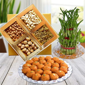 Bamboo Plant with Sweets N Dry Fruits Combo